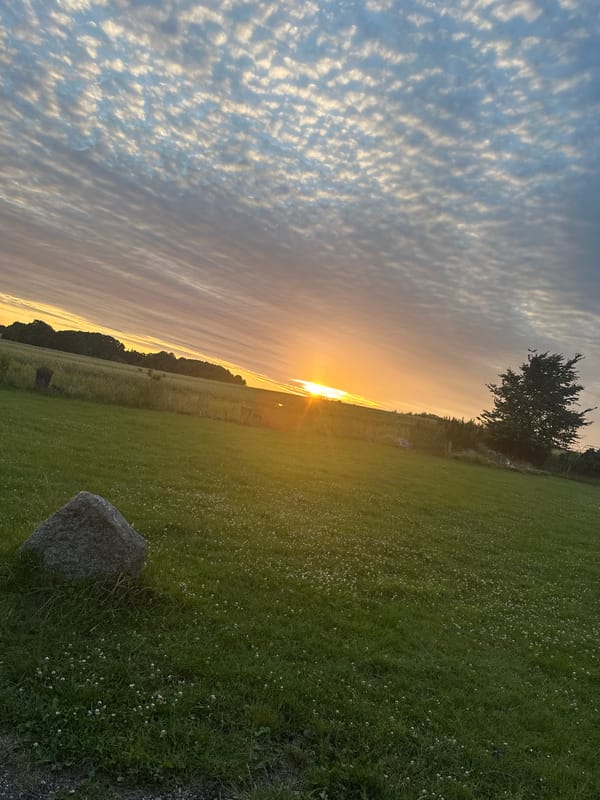 Altocumulus clouds catch the last light over Fredensborg