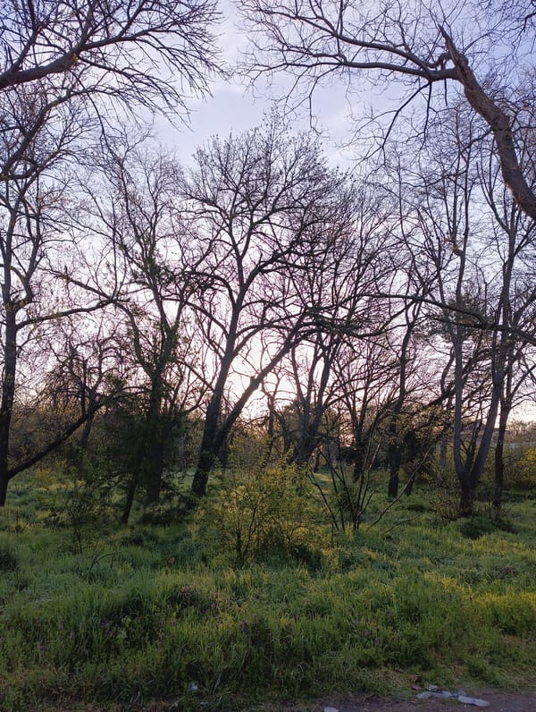 Golden hour moments captured across Karnobat, Bulgaria locations