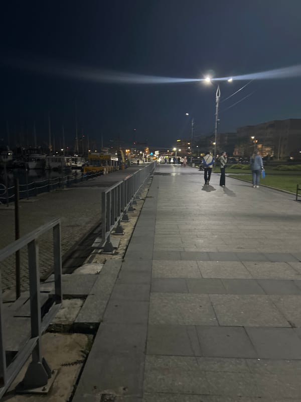 Fireworks display lights up Mangalia, Romania waterfront evening