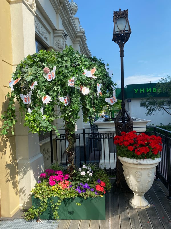 Decorated entrances and quiet walkways in a Moscow neighborhood