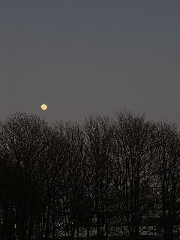 Full moon visible in overcast night sky over Leeuwarden