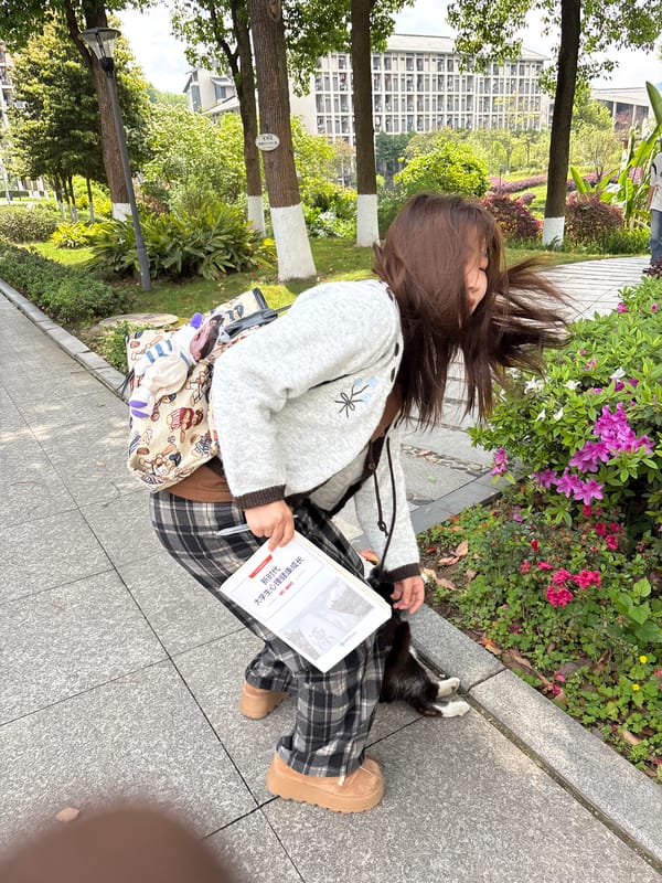 Early morning daily life scenes documented in Jiangjin