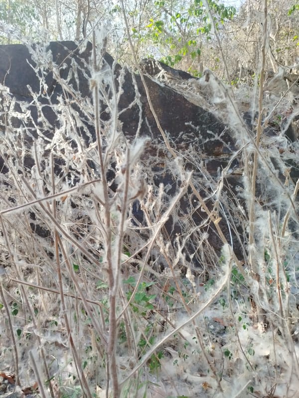 Early morning observations capture diverse Ho Chi Minh City scenes