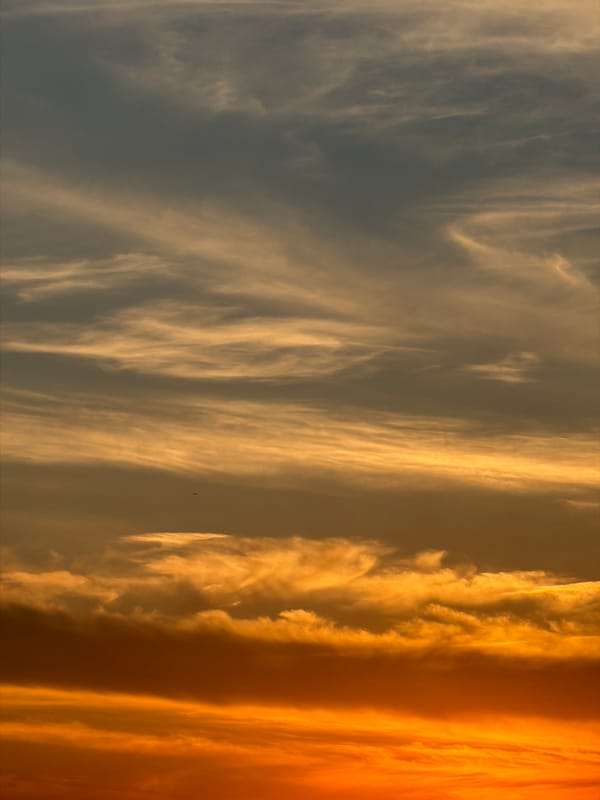 Evening suburban scenes documented during sunset hour June 6