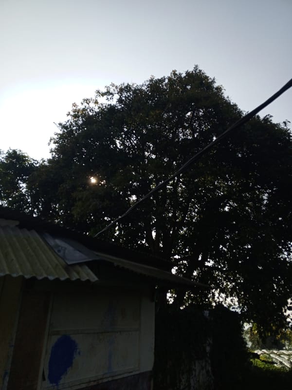 Rural Ciherang landscapes documented during early morning walk