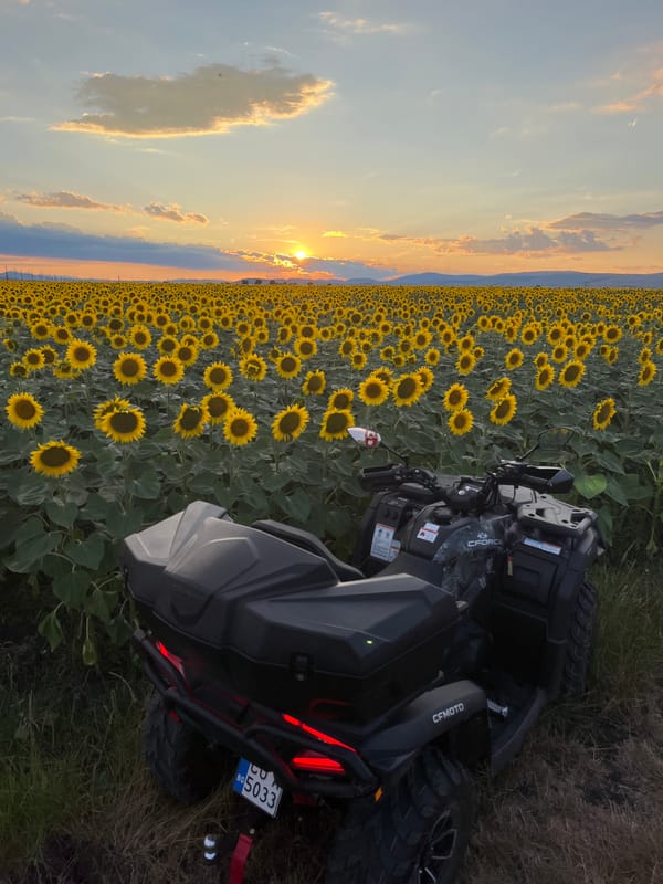 CFMOTO ATV parked in Bulgarian sunflower field at sunset