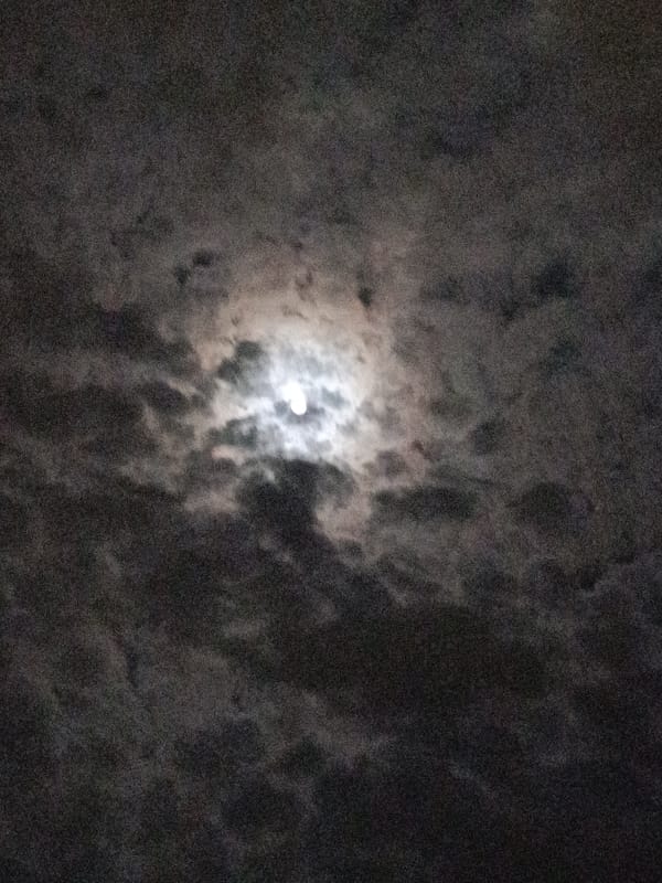 Cloudy moonlight observed over Sofia evening sky