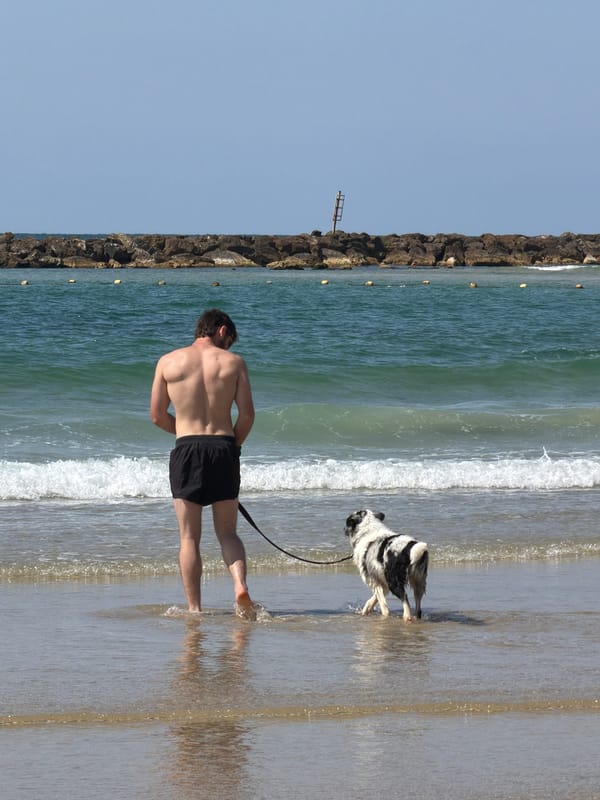 Woman sunbathes on Tel Aviv beach Monday morning