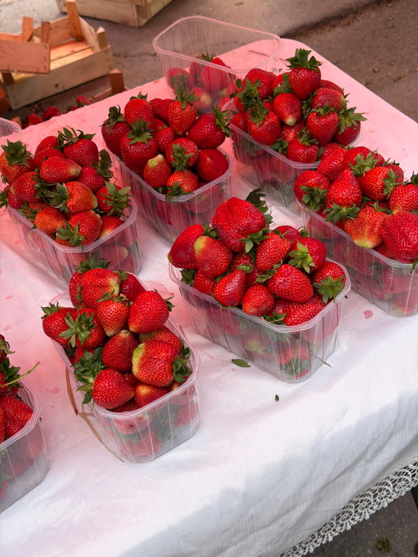 Morning farmers market bustling in central Chișinău