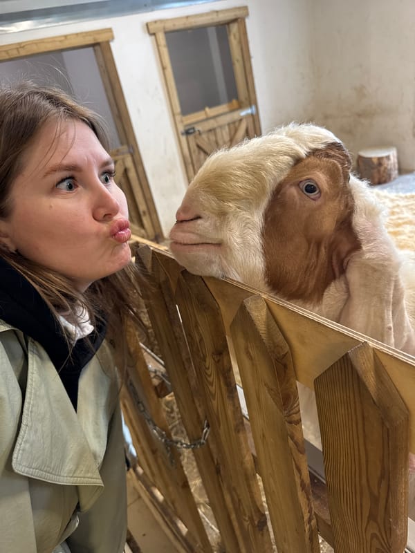 Families visit petting zoo in Perm, Russia