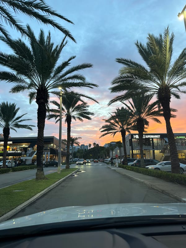Palm-lined street glows under a vivid Sunny Isles dusk sky