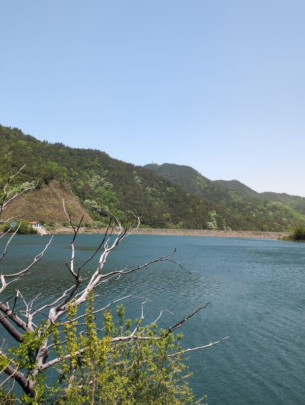 Solo photographer documents spring morning walk around Jangchan-ri lake