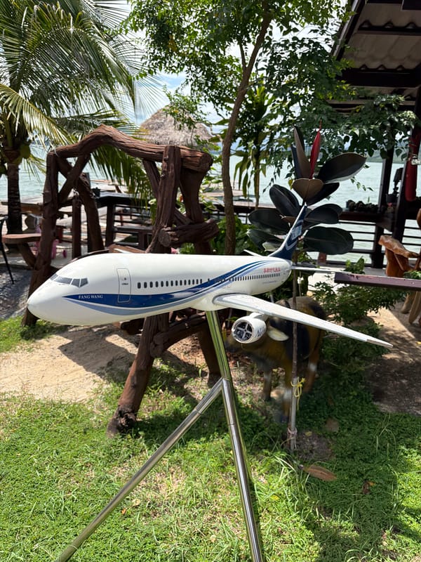 Lakeside resort with pier, model plane, and tropical details