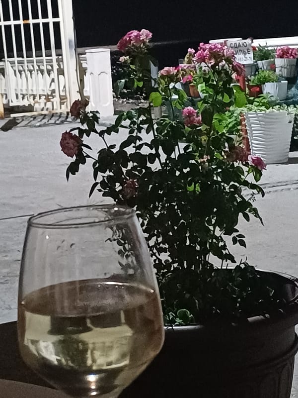 Evening gathering with wine and roses at a Sochi terrace