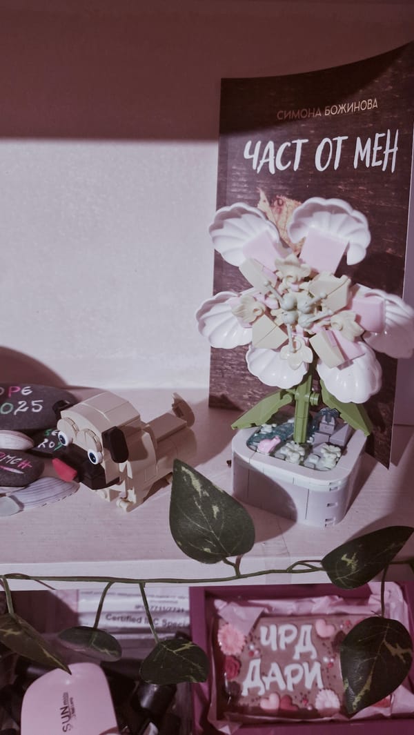 Pop culture collection showcased in Plovdiv home display