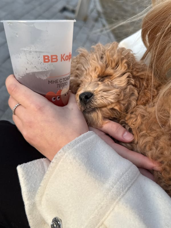 Moscow resident enjoys quiet afternoon with sleeping dog, beverage