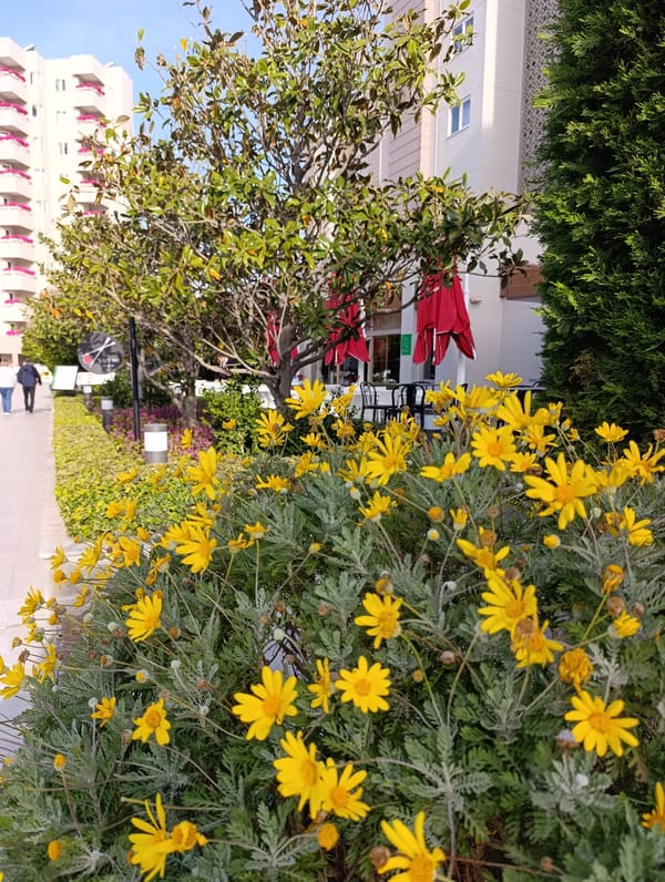 Tourist documents early morning resort scenes in Aksu, Turkey