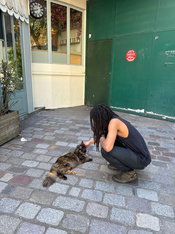 Person with dreadlocks pets tortoiseshell cat on Paris cobblestone street