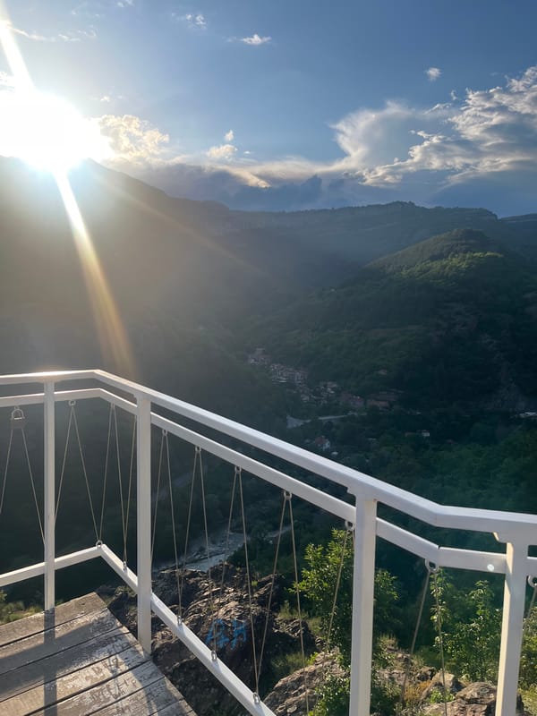 Visitor documents sunset views and cat encounter at mountain observation deck