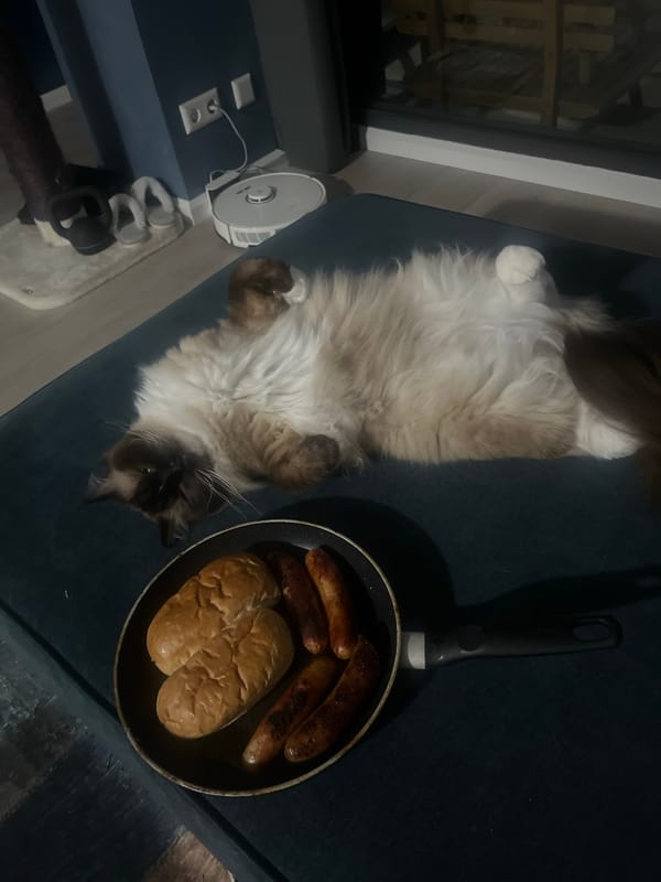 Sausages cooking while a cat naps on the couch