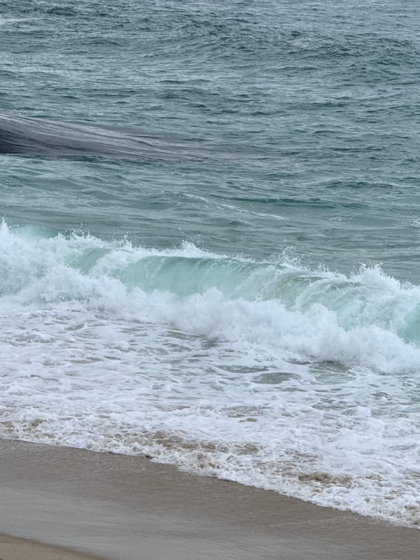 Overcast day documented at Rio de Janeiro beaches