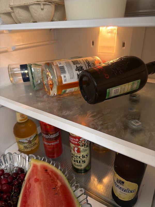 Sochi home morning: fridge photos, a cat, and a toy mouse