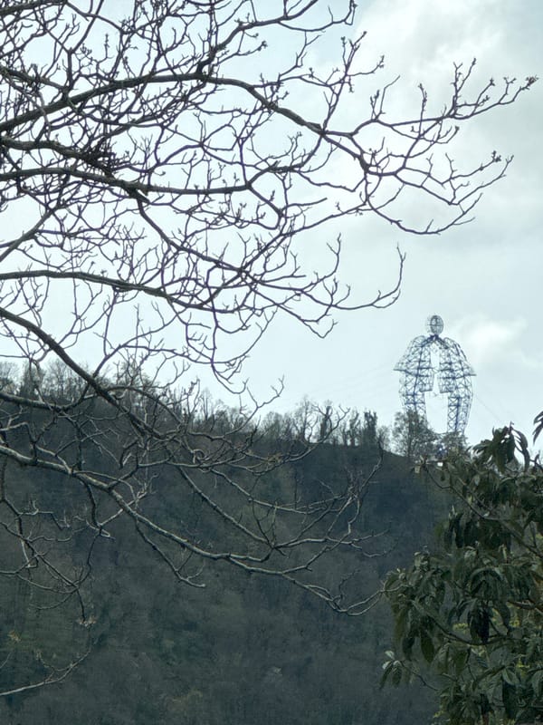 Gray skies and bare trees observed in Vysokoye, Russia