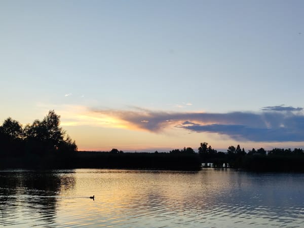 Lake at dusk, pastel sky reflected on still water