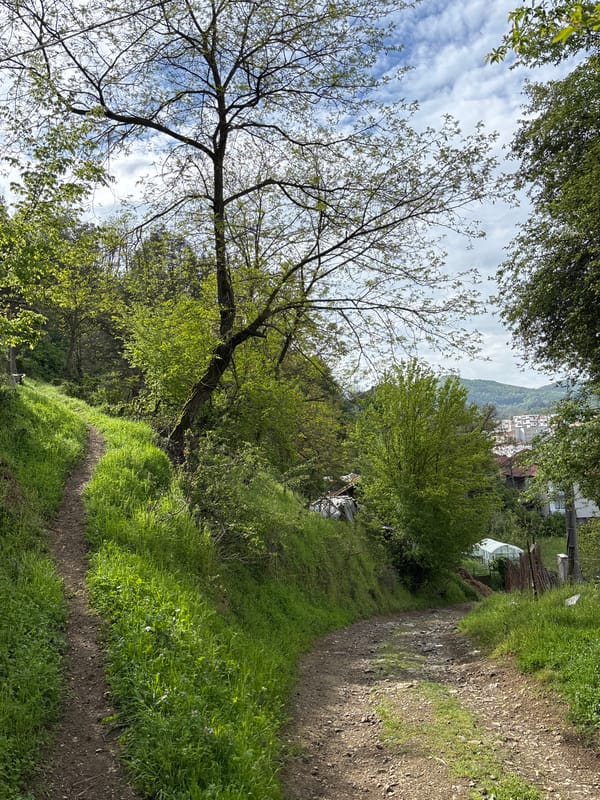 Daily life documented in rural Bulgarian town