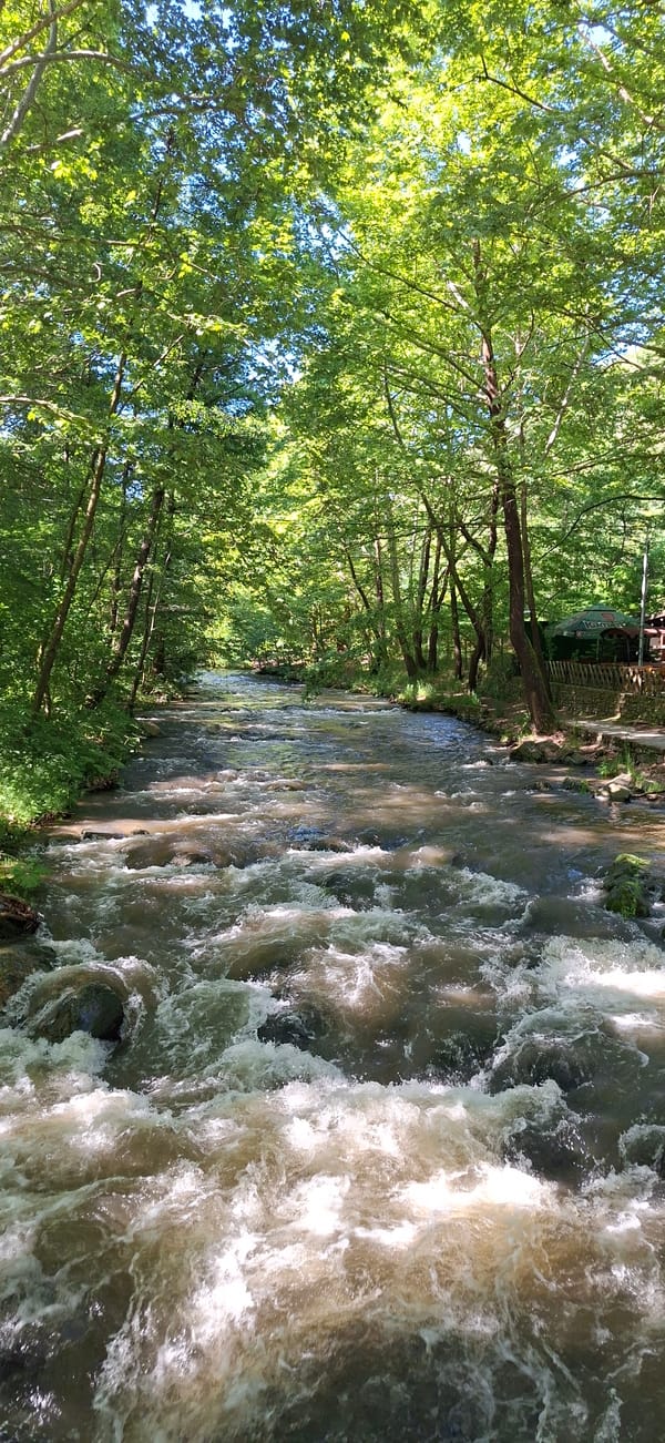 Stream and waterfall documented in Parvenets, Bulgaria forest area
