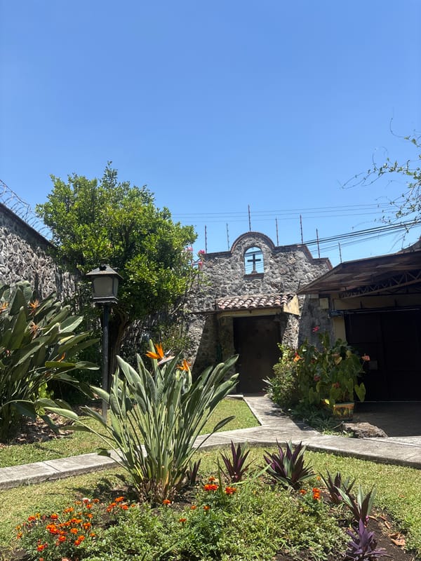 Stone building and husky dog captured in Cuernavaca