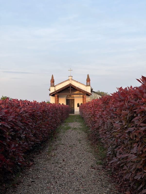 Rural Milan scenes: cows feeding, small church documented