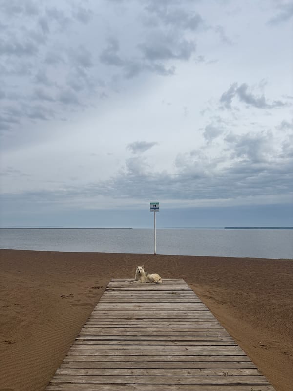 Overcast morning at Chaikovsky beach boardwalk captured by witness