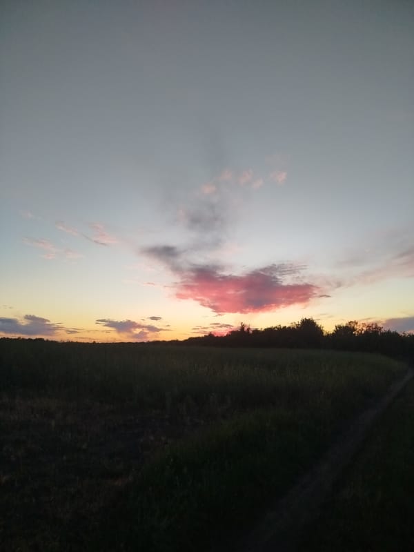 Evening countryside walk documented in rural Ustyvytsia, Ukraine