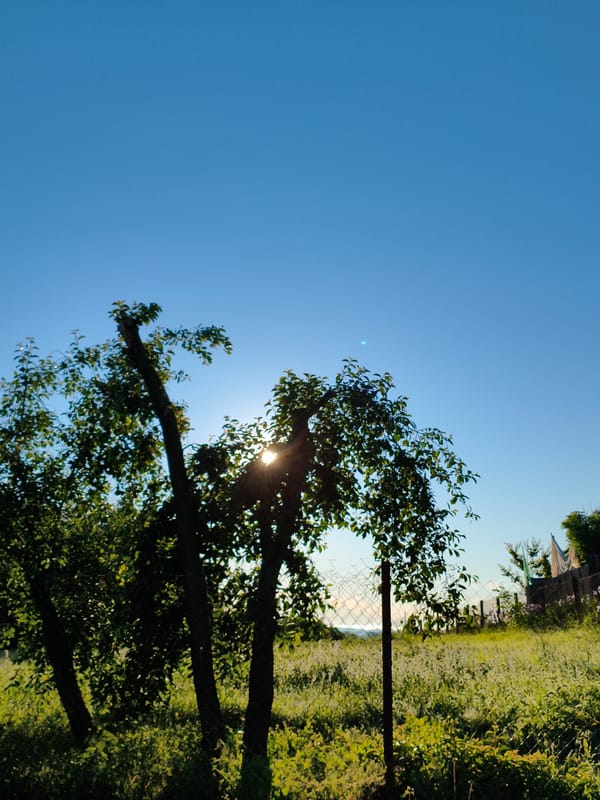 Rural Ukraine countryside documented in early morning photography session