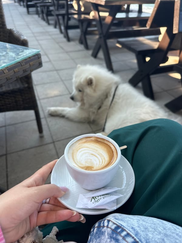 Morning coffee with dog companion at Montenegro coastal café