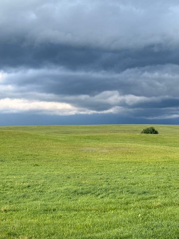 Storm clouds and sunlight over a rural Lithuanian landscape