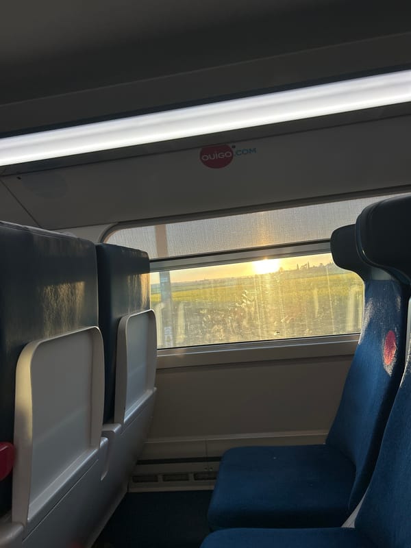 Train passenger captures routine journey through French countryside