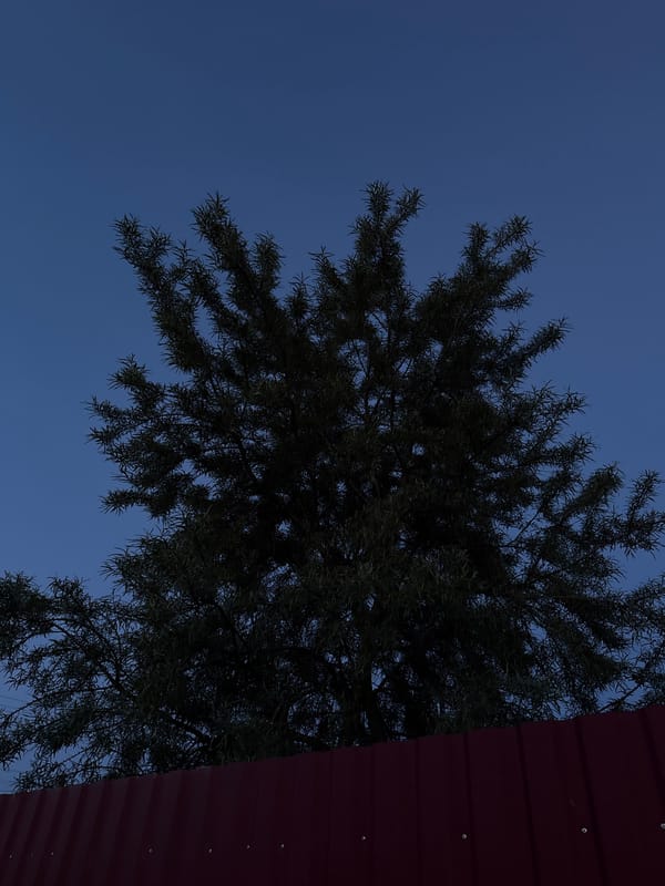 Belarus village twilight captured in 30 sequential images
