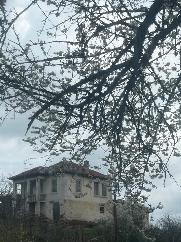 Rural scenes documented in Bulgarian village of Varshilo