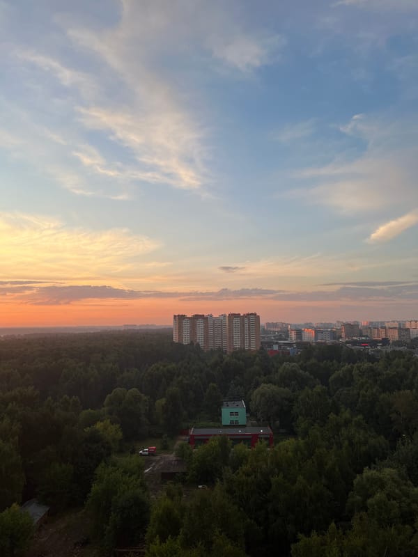 City skyline peers through haze beyond a sprawling forest canopy at sunset