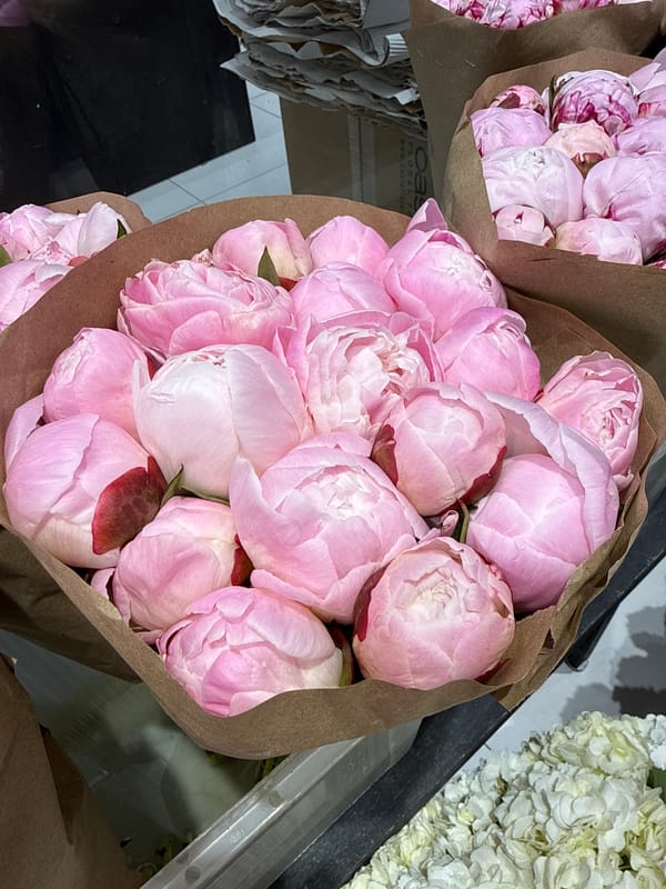 Pink peonies and street-level snapshots in central Moscow