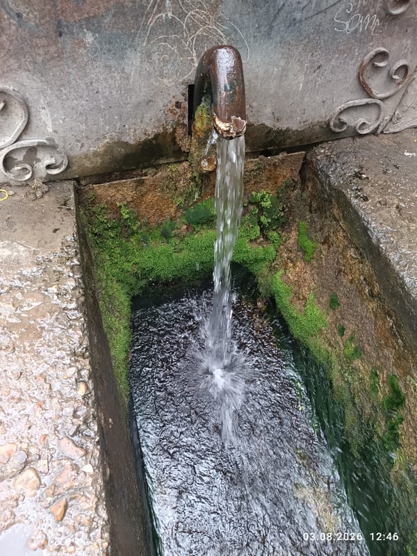 Mossy public spring flows in Sterlitamak on a summer morning