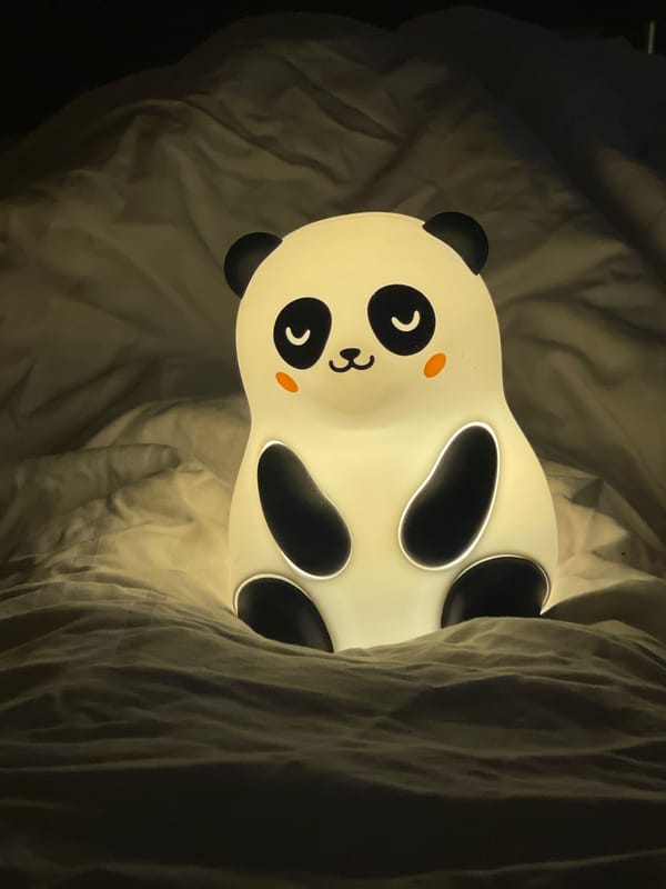 Panda nightlight photographed repeatedly on bed in German bedroom