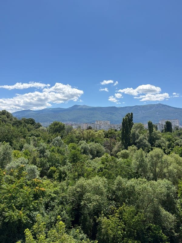 Sofia panoramas: forested hills, broadcast tower, Vitosha backdrop