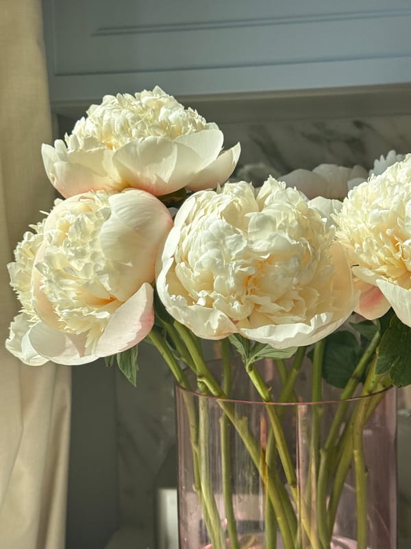 Peony bouquet arrangement observed in Moscow vase display
