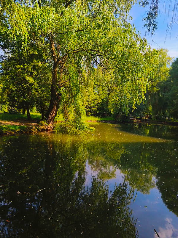 Afternoon scenes from a lakeside park in Ternopil