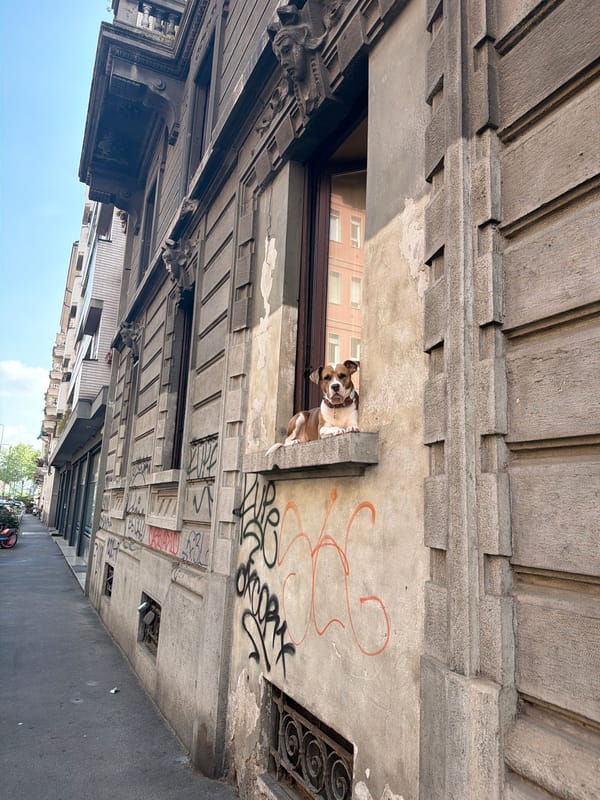 Person drinks from cup on Milan street