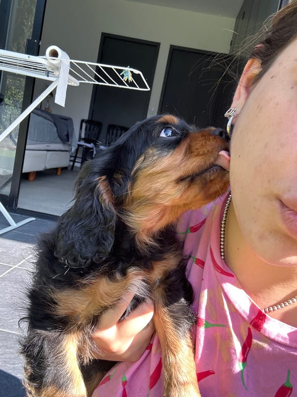 Woman with Cavalier King Charles puppy captured in Puebla