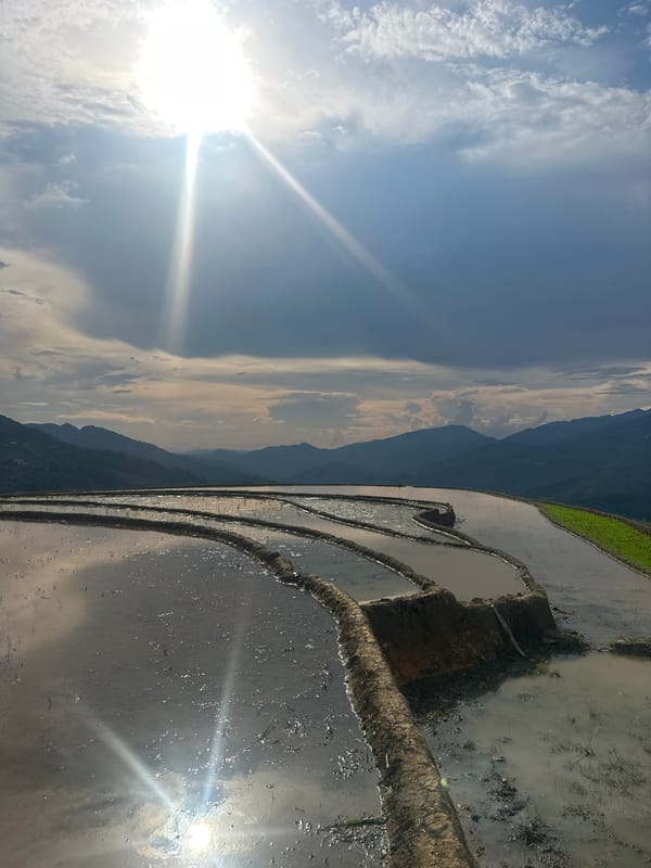 Terraced rice fields documented in Khao Mang, Vietnam